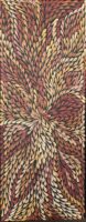 Bush flower - Dulcie Long Pwerle