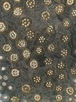 Patjiri Pigeon’s eggs - Eva Nelson Napaltjarri