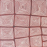 Warli Tingari - Warlimpirrnga Tjapaltjarri