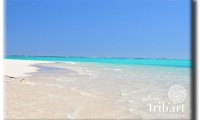 Ningaloo Coast