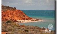 SHARK BAY