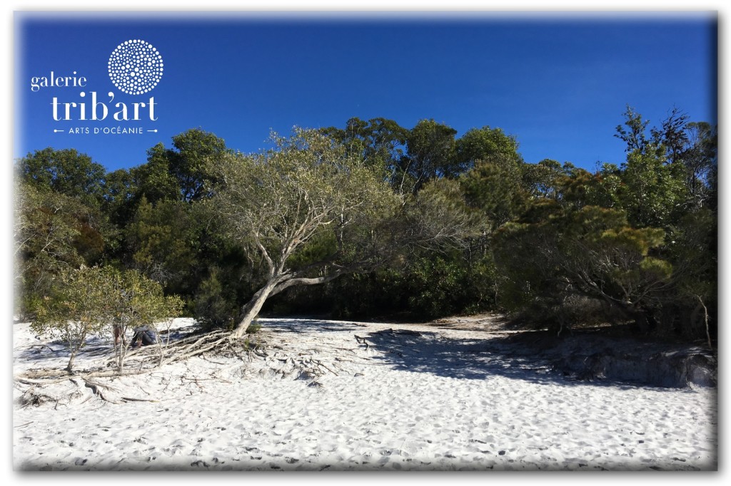 "Lac McKenzie, eaux cristallines et sable blanc sur Fraser Island"