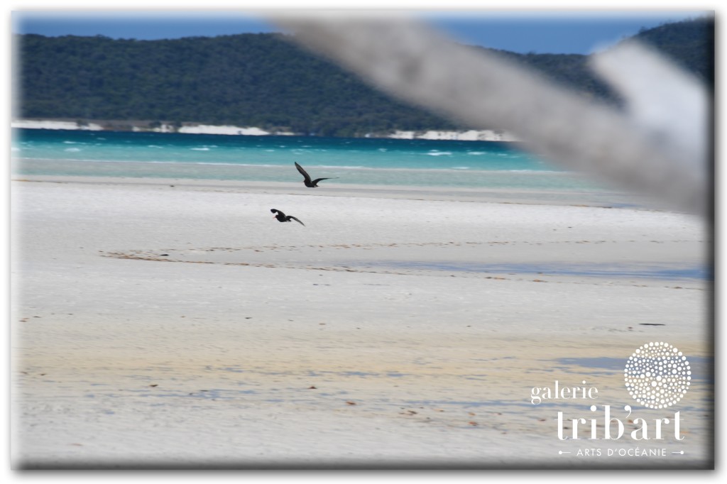 Promenade sur Whitehaven Beach, Whitsunday Island, impressions et expériences de voyage