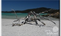 Whitsunday Island