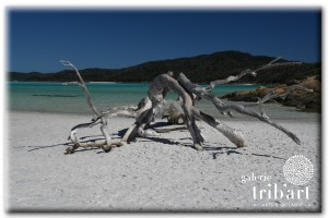 Whitsunday Island