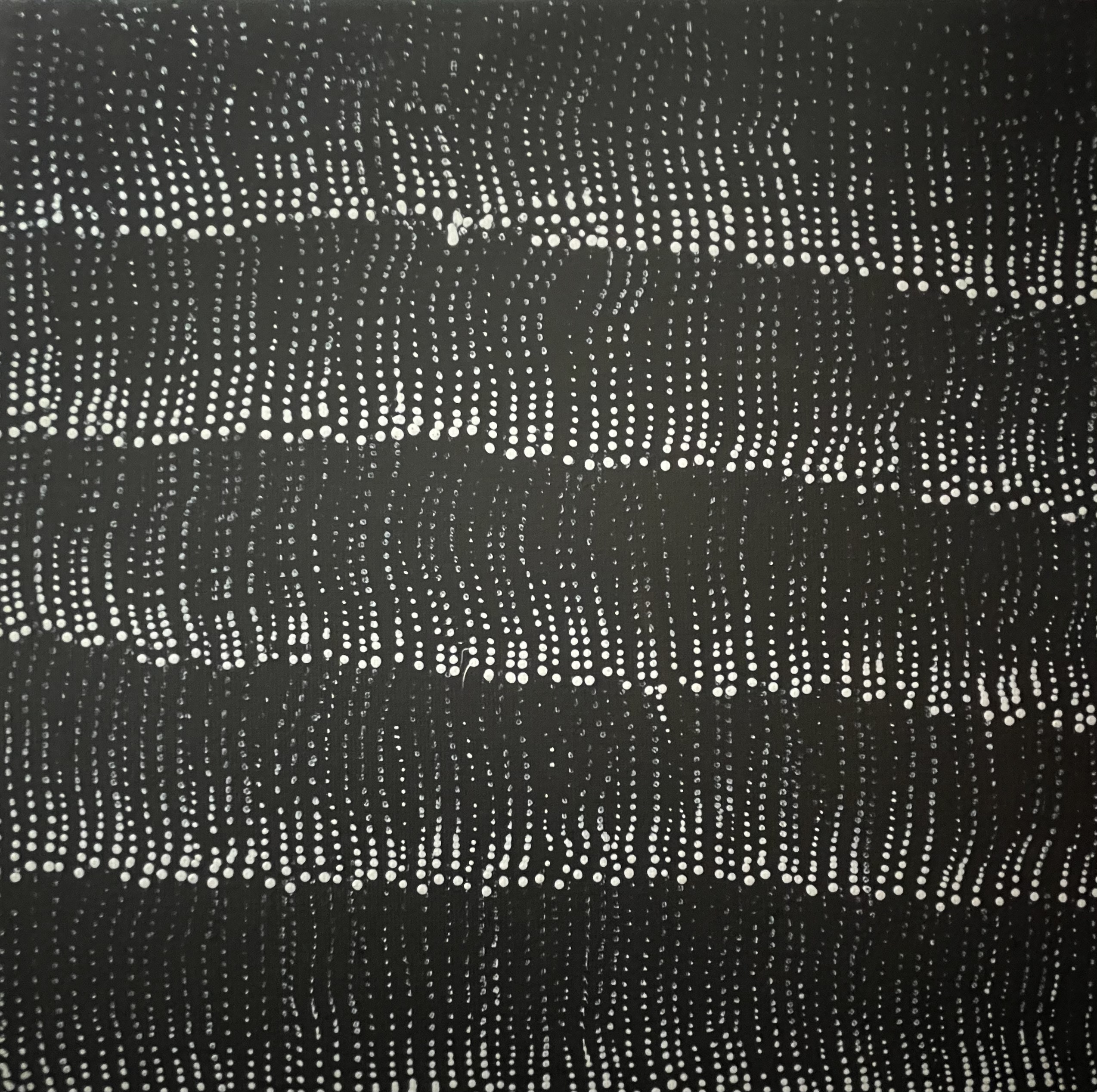 bush tomatoes wanakiji peinture d australie galerie d art australien