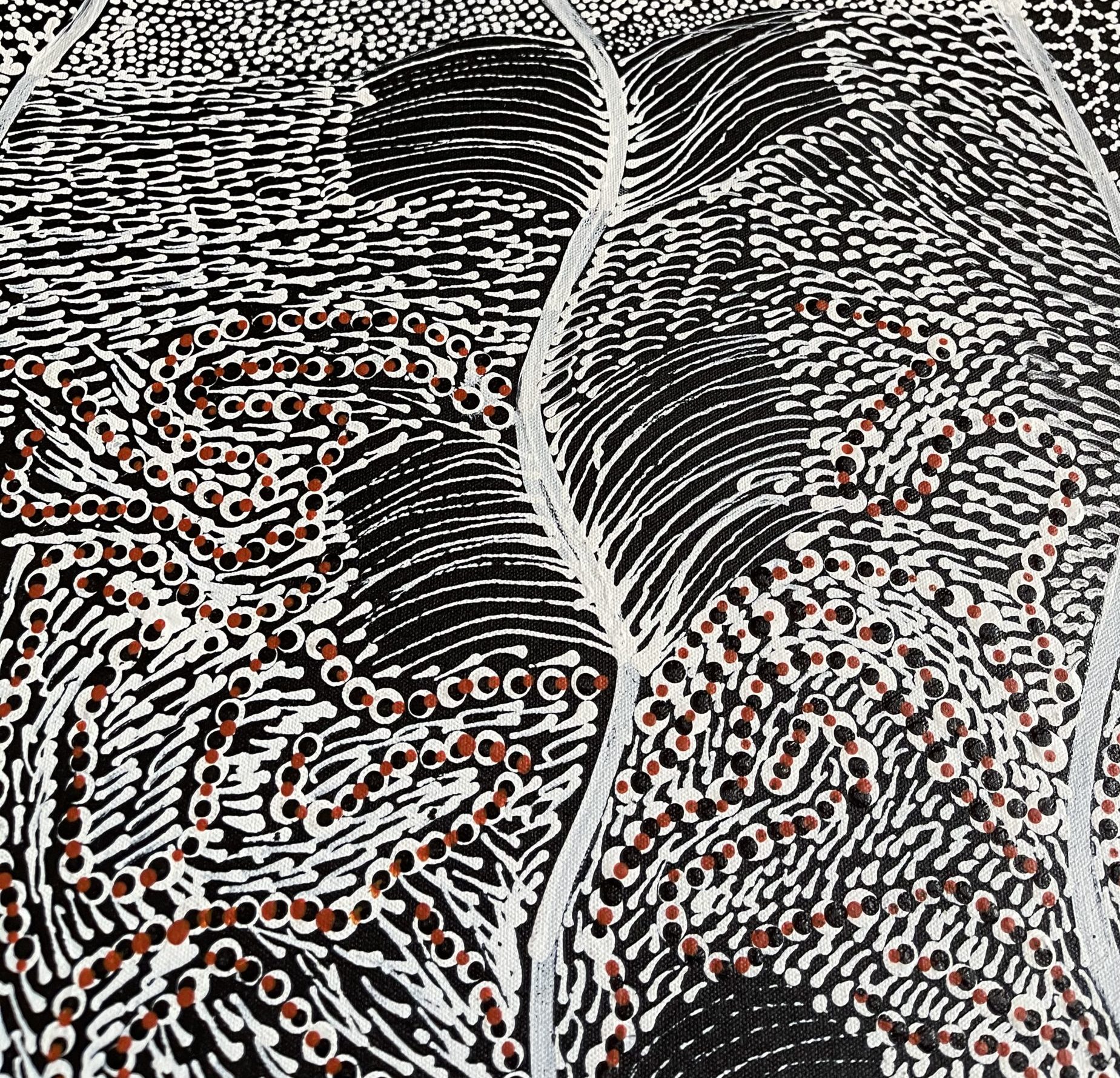 Art Aborigène - exposition Women body painting