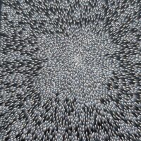 Bush Turkey Story - Abie Loy Kemarre
